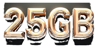 25gb logo